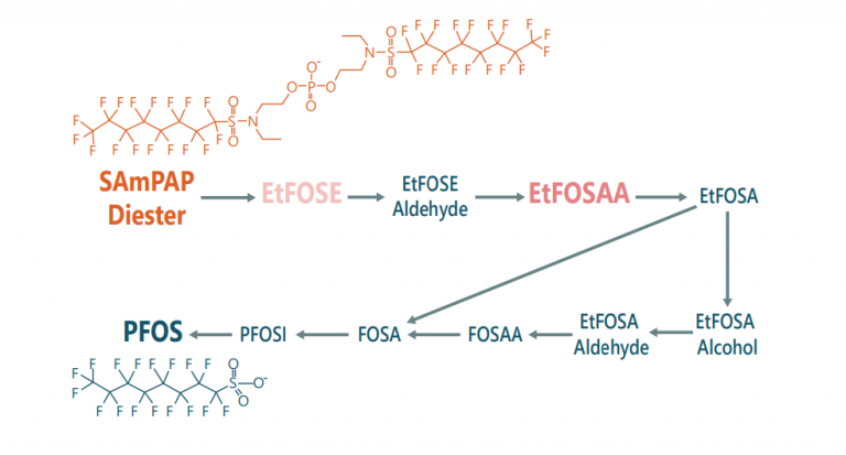 Addressing PFAS In The Environment Part 3: Anchor QEA’s Sediment And ...